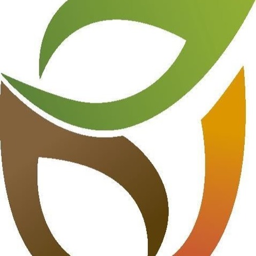 Biocomercio Amazonico’s avatar