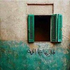 Gehad Magdy