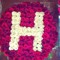 Hajar Nour