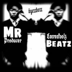 Leereekoolz Pon De Beat