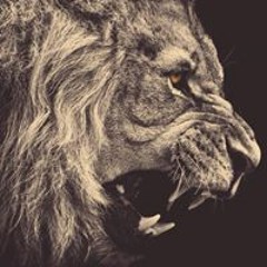 Thùgz Cry FâtôØh