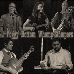 FoggyBottomWhompStompers