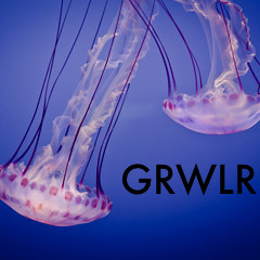 GR