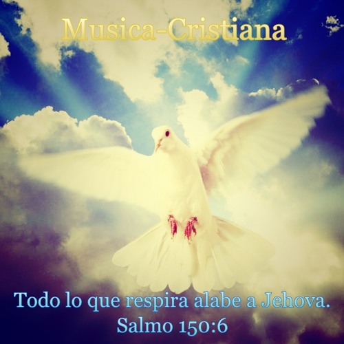Musica-Cristiana’s avatar