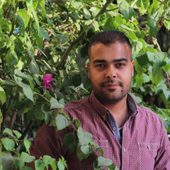 Ahmed Magdy