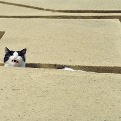 M I