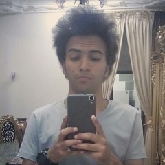 Mohamed Ahmed El-Hawary