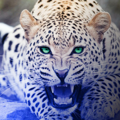 MGK - Young Man (Feat. Chief Keef)