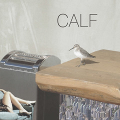 Calf