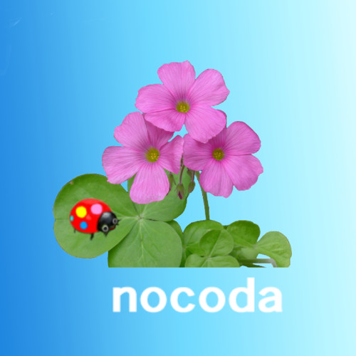 nocoda’s avatar