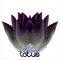 Black Lotus