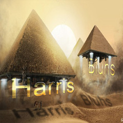 Harris Bluhs
