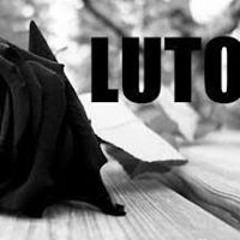 Danieli Contelli Dumont