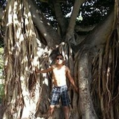 Alejandro Benites Jr