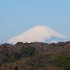 TeQuiWoDi