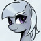 SilverPony