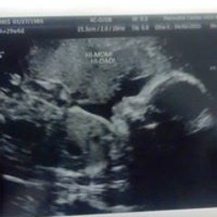 Dontoga Stay Montana