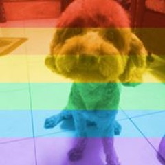 Edward Seng Peng Hong