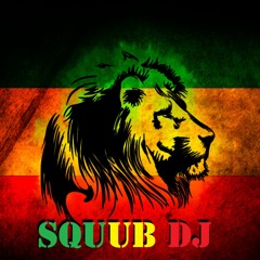 Squub Dj Reggae