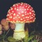 アマニタ.amanita