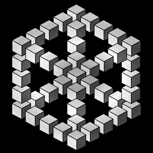Medit — artist photo