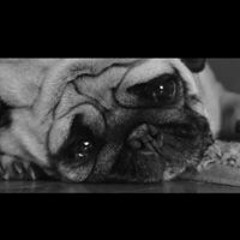 Tatum Wayne Schnakenberg