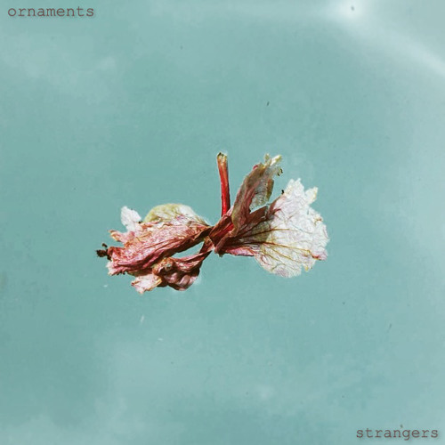 SoundCloud profile picture for @ornaments