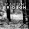 Martin Bridson