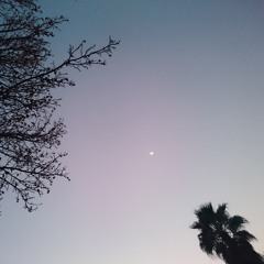 Lauren Joyce Robertson