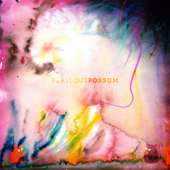 Perilous Possum