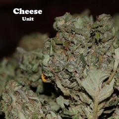CheeseUnit