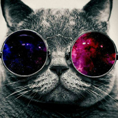 Paraoanu Mihai Ionut