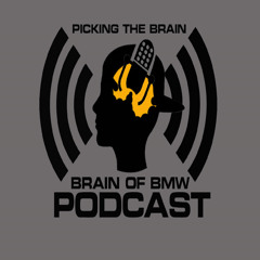 Picking The Brain Podcast