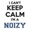 Mario Noizzy