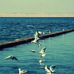 Amal Msalam