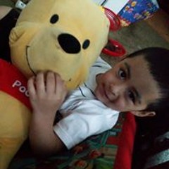 Ombra Vicintore Guzman