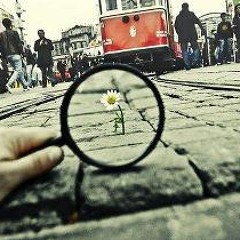 ṂộhâṁḿệḒ