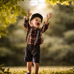 Mahmoud Abd El-Azeem