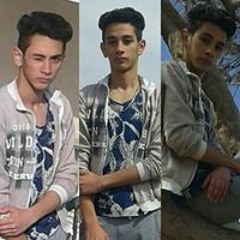 Abdelrahman S. Mohammed
