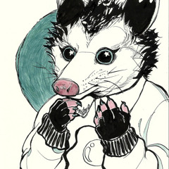 M. Possum