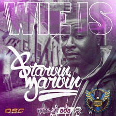 Starvin Marvin Garageboy