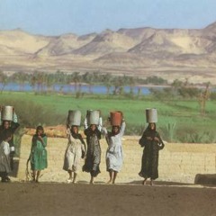 أروى  عثمان