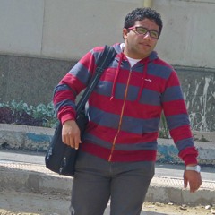 Ahmed Ragab 29