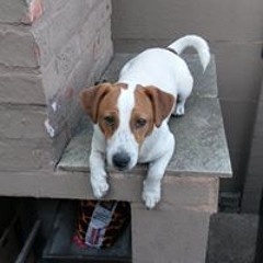 Alexis Johnson Solomon