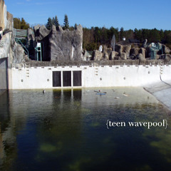 {teen wavepool}