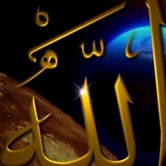 user844796008