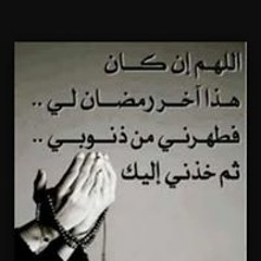Mohamed A Alim