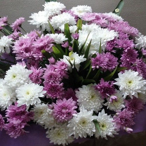 صديقي - عبد القادر قوزع