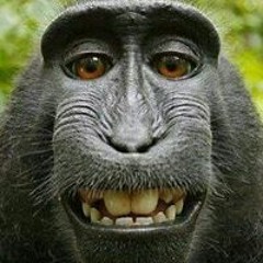 Thomas Hii Chun Kiet