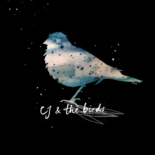 CJ & the birds’s avatar